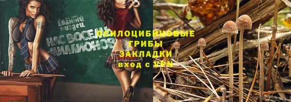 крисы Лихославль