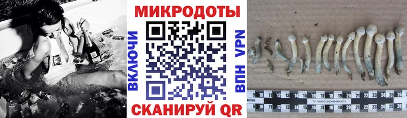 Галлюциногенные грибы прущие грибы  Купить закладки  Дигора 
