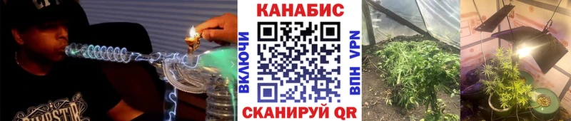 Бошки марихуана SATIVA & INDICA Купить где Дигора